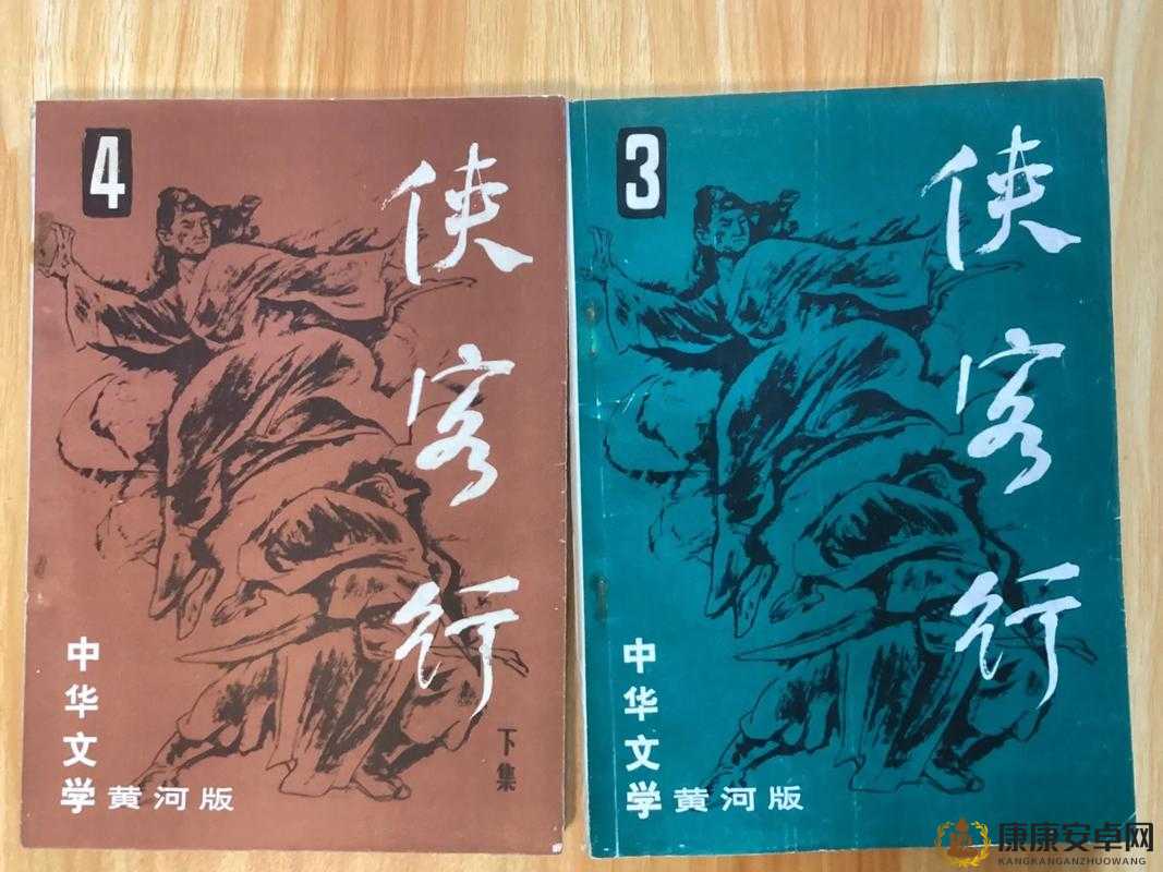 我的侠客，深入探索侠之品质与资源管理艺术的奇妙之旅